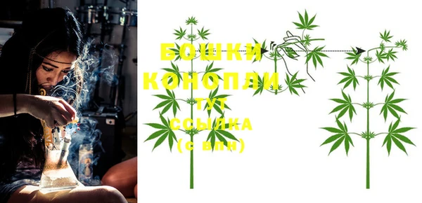 кокс Нея